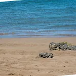 Alma Canteras *