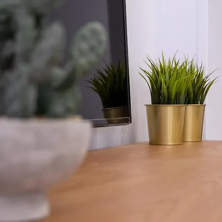 Alma Canteras Daire *