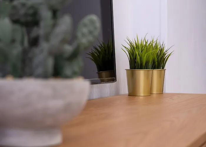 Alma Canteras Διαμέρισμα *