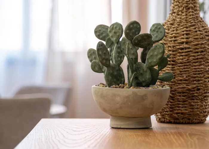 Apartmán Alma Canteras